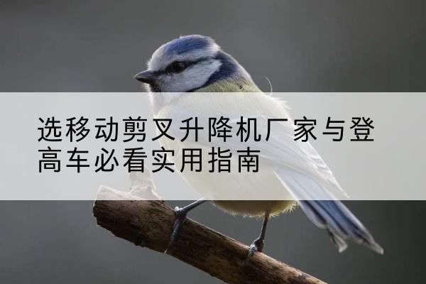 安义电动升降机厂家-选移动剪叉升降机厂家与登高车必看实用指南