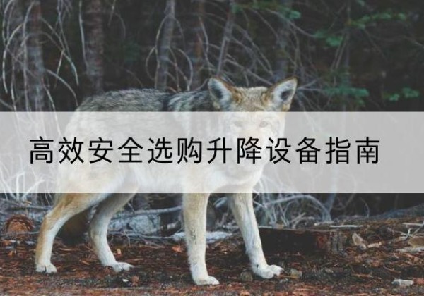 安义升降货梯厂家推荐-*安全选购升降设备指南